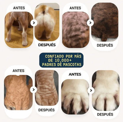 TRATAMIENTO NATURAL PARA PIEL ROJA, IRRITADA, CON GRANITOS O DERMATITIS